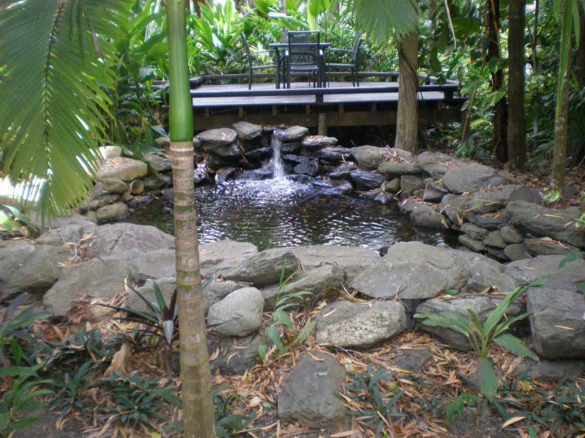 Appartement Hidden Gem @ Palm Cove Extérieur photo
